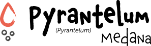 text